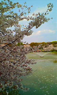 ���̐��E�̔������������Ƃ��Ȃ��ƌ����܂��悤�ɁB