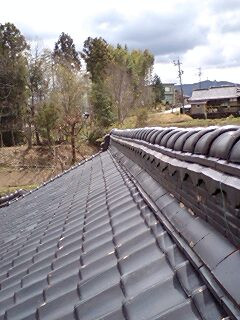 ���Ƃ̉����̏�