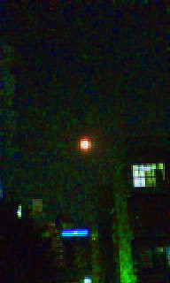 ����Ȍ��̖��