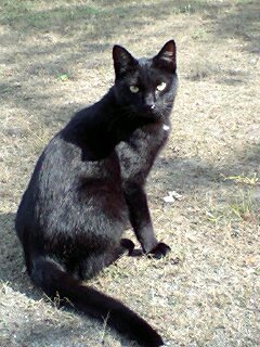 ���΂ɂ�񂱁B