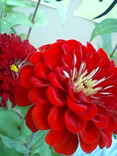 �ԁA�����A�g�A�A�J�B